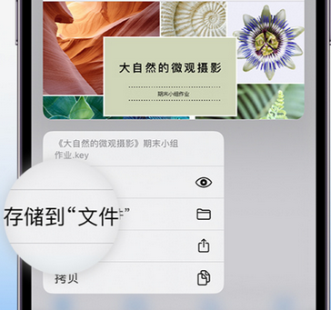 婺城apple维修中心分享iPhone文件应用中存储和找到下载文件