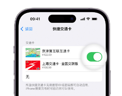 婺城apple维修点分享iPhone上更换Apple Pay快捷交通卡手绘卡面 