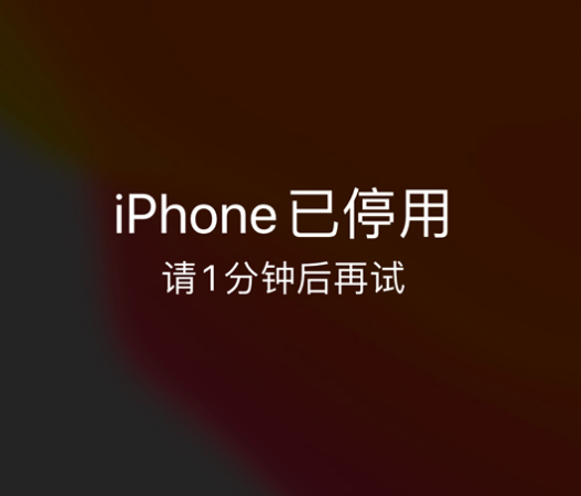 婺城苹果手机维修分享:iPhone 显示“不可用”或“已停用”怎么办？还能保留数据吗？ 