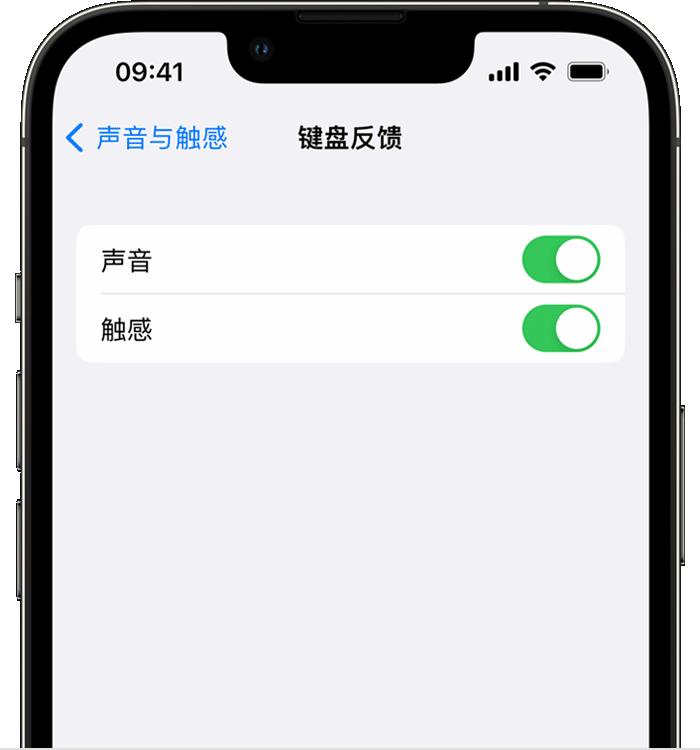 婺城苹果14维修店分享如何在 iPhone 14 机型中使用触感键盘 