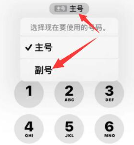 婺城苹果14维修店分享iPhone 14 Pro Max使用副卡打电话的方法 