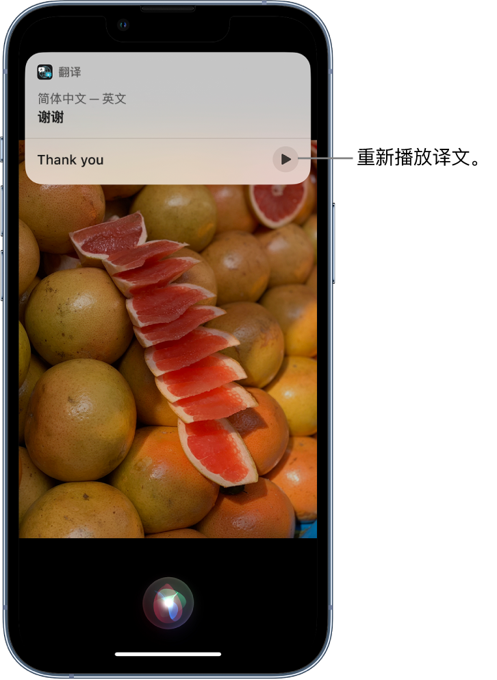 婺城苹果14维修分享 iPhone 14 机型中使用 Siri：了解 Siri 能帮你做什么 