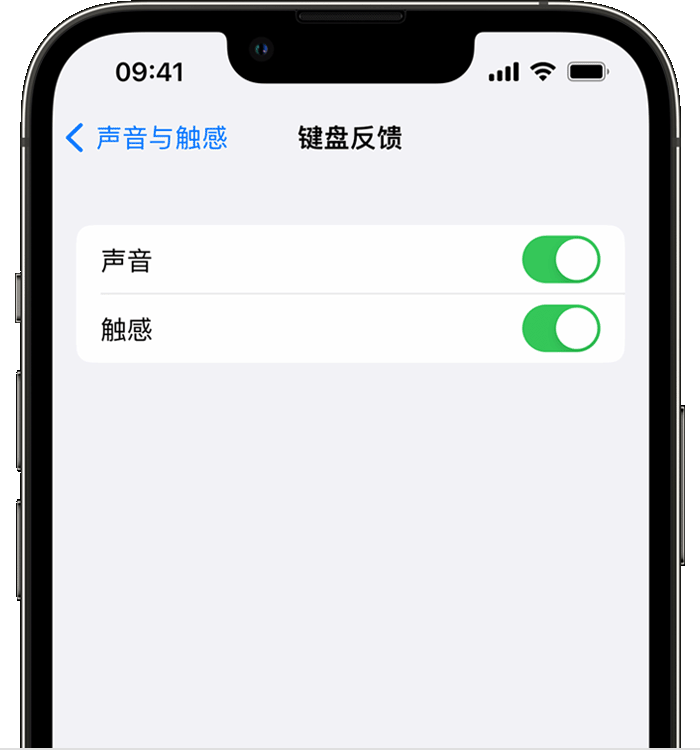 婺城苹果14维修分享iPhone 14 系列机型如何开启键盘声音或触感反馈 