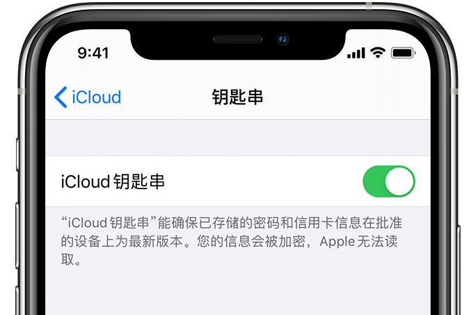 婺城苹果手机维修分享在 iPhone 上开启 iCloud 钥匙串之后会储存哪些信息 