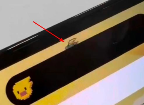 婺城苹果14维修分享iPhone 14 Pro Max灵动岛怎么养宠物 