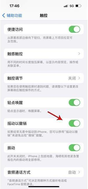 婺城苹果手机维修分享iPhone手机如何设置摇一摇删除文字 