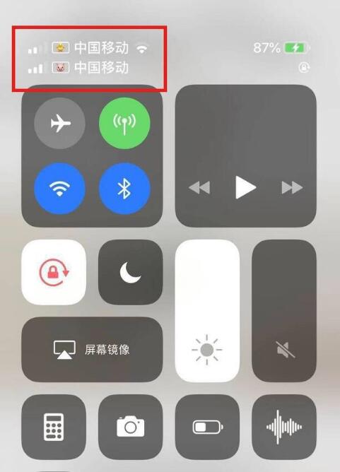 婺城苹果手机维修分享为 iPhone 12 双卡设置标签 