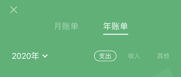 婺城苹果手机维修分享如何在 iPhone 上查看支付宝和微信年支出账单 